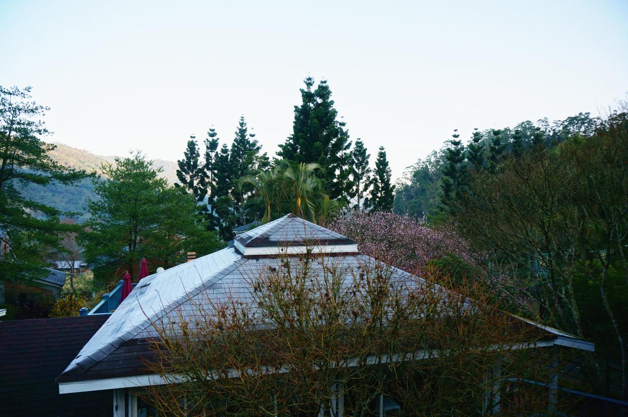 Li Jin Kuan Homestay Nanzhuang Eksteriør billede